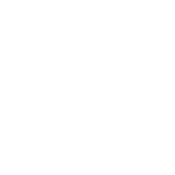 WOER TIER 1 (PC)